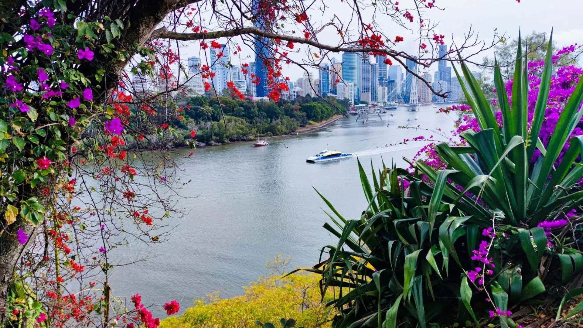 *** Hotel Cliffinn Kangaroo Point Brisbane Australia